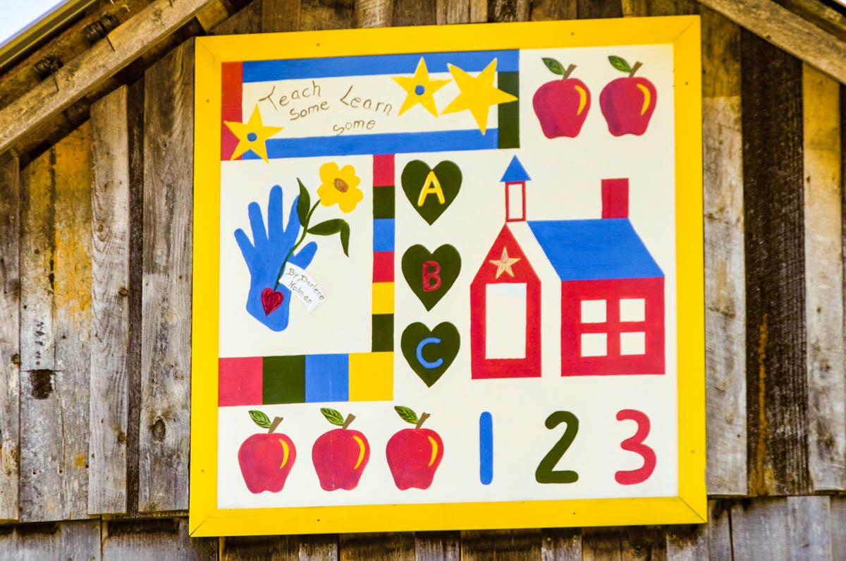 Amanda’s Daylilies